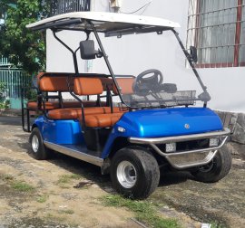 XE ĐIỆN SÂN GOLF MÀU XANH DƯƠNG